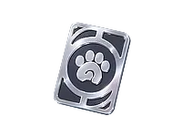 Advanced Companion Handbook